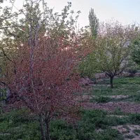 فروش-زمین-مسکونی