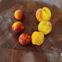 لواشک خونگی