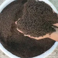 کود ورمی کمپوست