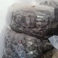 فروش خرمای سالم و تمیز