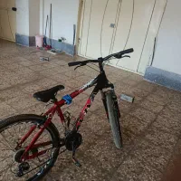 دوچرخه ویوا|دوچرخه، اسکیت، اسکوتر|بجنورد, |دیوار