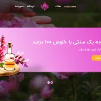 طراحی سایت با پایتون و وردپرس