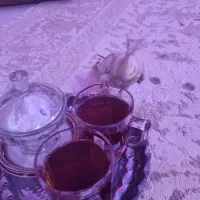 طوطی عروس هلندی|پرنده|تهران, افسریه جنوبی|دیوار