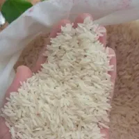 برنج ایرانی خرید مستقیم از برنجکار|خوردنی و آشامیدنی|بوشهر, |دیوار