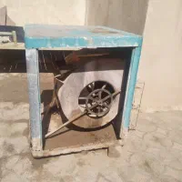 پرنده کولربدنه