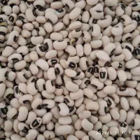 لوبیا عدس ماش