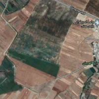 اجاره زمین کشاورزی فقط برای کشت نخود یا گشنیز