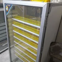 دستگاه جوجه کشی|ابزارآلات|قائم‌شهر, |دیوار