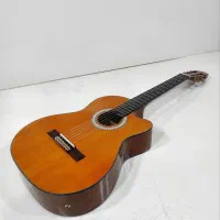 گیتار پائوچیا پیکاپدار کاتوی