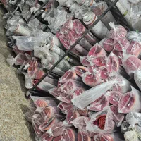 فرش مهدی زاده باخیال راحت خرید کن کف قیمت ایران