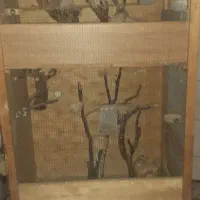 قفس پرنده|لوازم جانبی حیوانات|لاهیجان, کوی خزر|دیوار