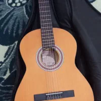 گیتارنومدل m2باکاور