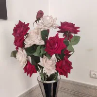 گل و|حراج|سرپل ذهاب, |دیوار