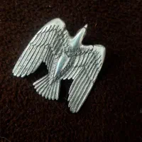 عقاب نقره