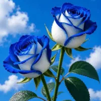 گل شاخه ای