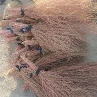 جارو محلی