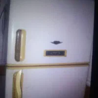 یخچال فریز خارجی