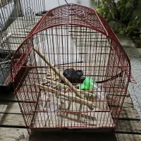 قفس پرنده سنگ روشویی دریچه کولر