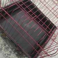 قفس کاملا تازه