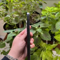 آیفون ۱۶ پرومکس ۲۵۶