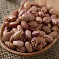 لوبیا چیتی اعلا محلی
