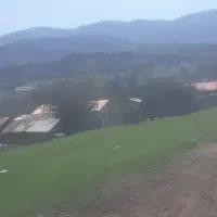 فروش زمین|فروش زمین و ملک کلنگی|توتکابن, |دیوار