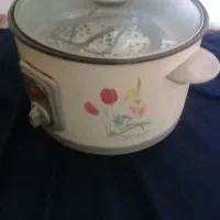 پلوپذسالم