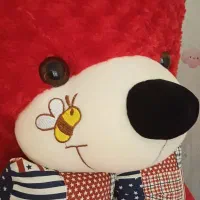 خرس بزرگ خارجی