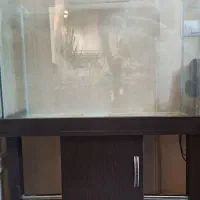 اکواریوم شیشه ای بزرگ