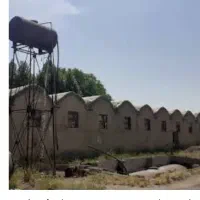 اجاره و رهن مرغداری گوشتی واقع در گچساران