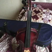 ویولون رنگ زیبا