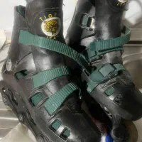 کفش اسکیت تایگر