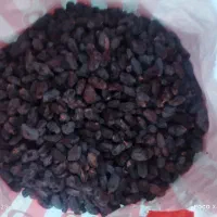 مویز سیاه کلستان|خوردنی و آشامیدنی|شیراز, ریشمک|دیوار