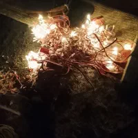 چراغ رنگی