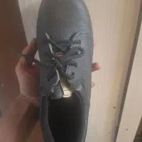 کفش ایمنی کار