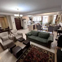 ۱۵۵متر/تکواحد/مشاعات ابی فعال*گذر عادل زرین|اجارهٔ آپارتمان|تهران, تهرانپارس غربی|دیوار