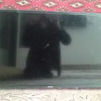 تلویزیون ۳۲