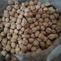 نخود سفید ودرجه یک اورگانیک