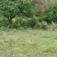 فروش زمین مسکونی با پروانه ساخت|فروش زمین و ملک کلنگی|شاندرمن, |دیوار