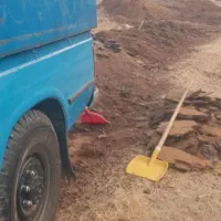 فروش پهن گوسفندی خشک و پوسیده