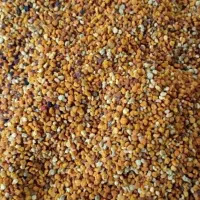 گرده گل طبیعی