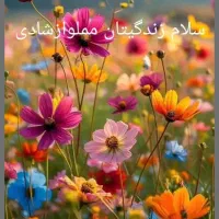 پرستار سالمند