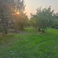 زمین باغی روستای نصرآبادبه متراژ ۱۳۵۶مترمربع|فروش دفتر صنعتی، کشاورزی، تجاری|گرگان, |دیوار