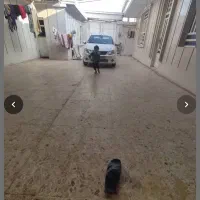 رهن کامل خانه.کوی ابوذر - فروش خانه ویلایی|فروش خانه و ویلا|سوسنگرد, |دیوار