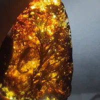 کهربا عتیقه|جواهرات|کبودرآهنگ, |دیوار