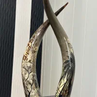 شاخ طبیعی|کلکسیون اشیاء عتیقه|تهران, امین حضور|دیوار