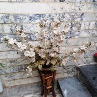 گل مصنوعی|گل مصنوعی|رشت, حمیدیان|دیوار