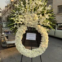 پایه‌گل تاج‌گل|گل و گیاه طبیعی|تهران, تهرانپارس غربی|دیوار
