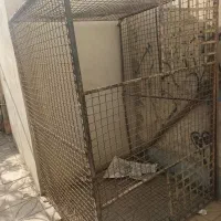قفس آهنگ  بزرگ  جهت نگهداری  کفتر ومرغ|لوازم جانبی حیوانات|قرچک, زیبا شهر|دیوار