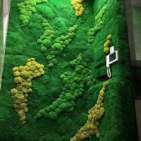 اجرای طرح دیوار سبز (خزتثبیت)|تابلو، نقاشی، عکس|شیراز, گلکوب|دیوار